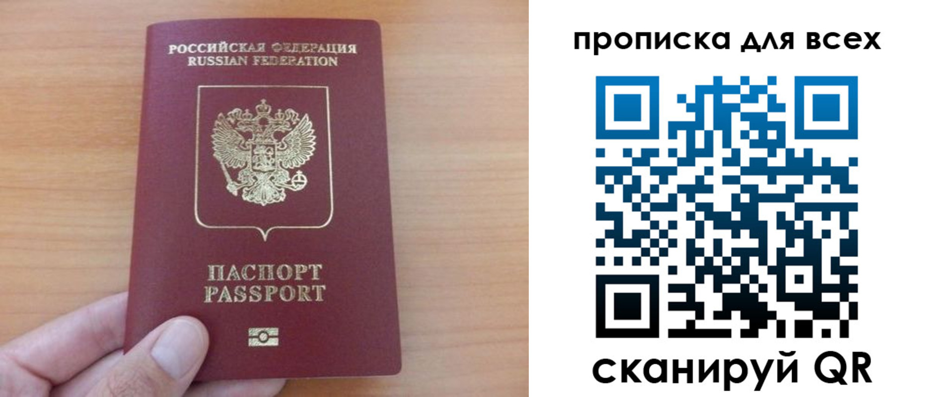 прописка поиск в Чкаловске